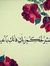 رقة الضحى