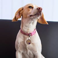 Reece john hodgkinson