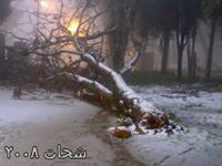 علاء الشوبكي العوامي