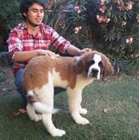 Ricardo Iglesias Bugueño