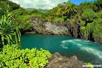 عبدالله سالم