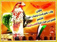 أحمد أبوعرمانة