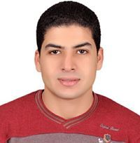 محمد شمس الدين