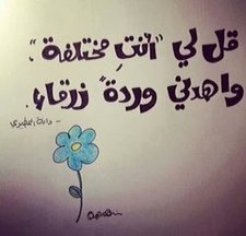 Toa'a Mohamed