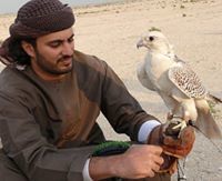 Mohammed A Al Saie