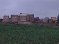 أحمد القحطاني