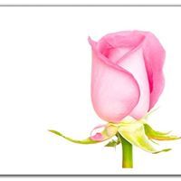 راجية رحمةربي