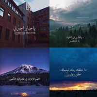 سارونه العجميه