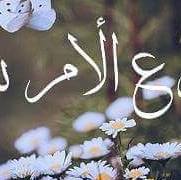 إبراهيم العزب