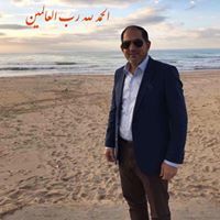 حسن الربيعي