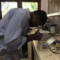 Ilamaran Alvappillai