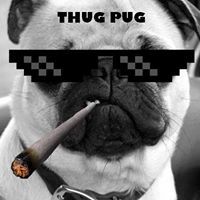 นิธิพรหม เพ็ญศิริโรจน์