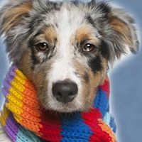 PETER ANTHONY ATKINSON