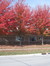 Sidney Public Library