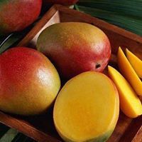 رحاب العربي