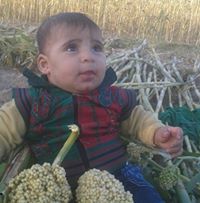 نصر محمد الفقية