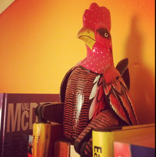 thesaltwatersolution