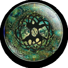 Charlotte Wildflower