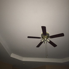 Tracee Thrasher simms