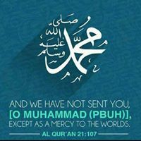 الصقر الطائر