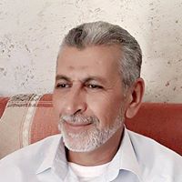 محمد محمود