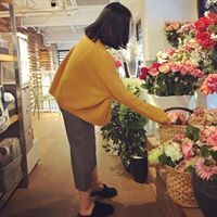 Hải Ly