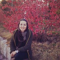 Fereshte Kheirollahy