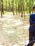 Deepak ...
