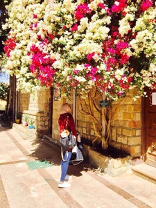 Walaa A.