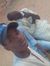 Aliyu I...