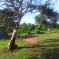 บินหลา จันทบูร