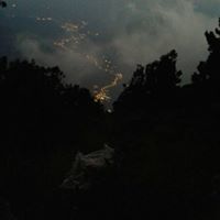 عطر الفواكة