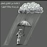 Sayed Abo Elkhair