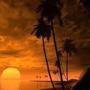 محمود سلامه