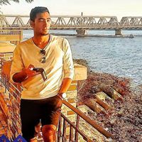 Mohamed Hafez