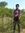 Dibya A...