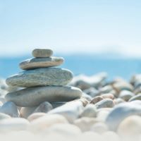 Светлана Максюта