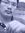 Amirul H.