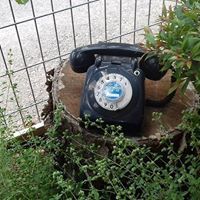 ربيحة ادريس