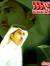خالد ال...