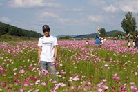 M Luthfi
