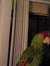 Nik