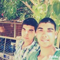 التوأم أحمدي