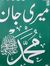 Ghulam ...