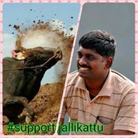 Rajasekar Pitchaimuthu