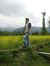 Aijaz S...