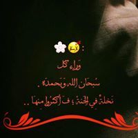 مصطفى الحميري