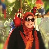 Nehal Elmashad