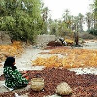 محمودي خالد