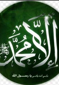 إيهاب كتلوج